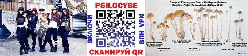 купить наркотики цена  blacksprut вход  Галлюциногенные грибы мухоморы  Мончегорск 